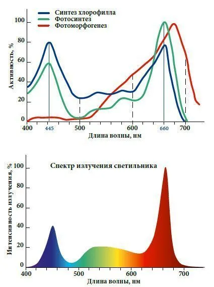 LED-лампа для растений полного спектра LED-A60-10W-SPFR-grafiki.jpg