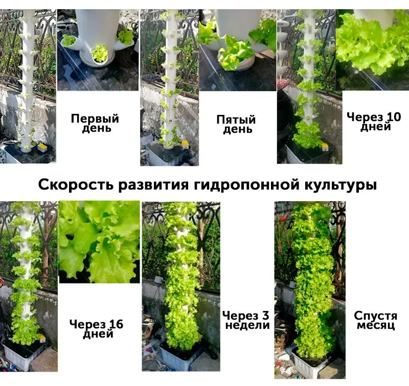 Купить Гидропонная установка Домашняя чудо-грядка на сайте Море Зелени цена 1 руб.