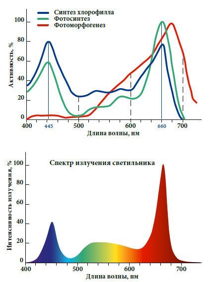 LED-лампа для растений полного спектра LED-A60-10W-SPFR-grafiki.jpg