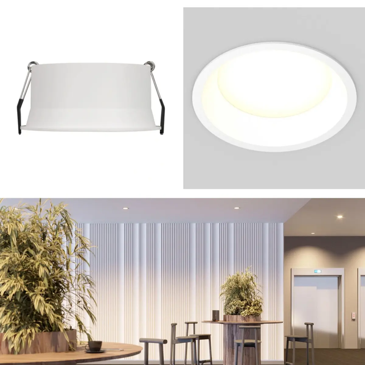 scale_1200 (1).jpg scale_1200 (1).jpg